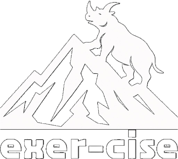 exer-cise logo